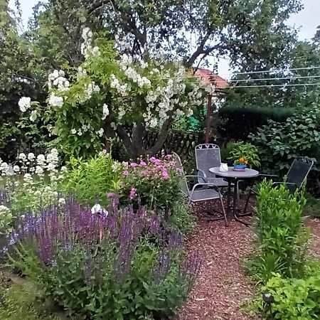 Spatzennest Wernigerode Exteriör bild