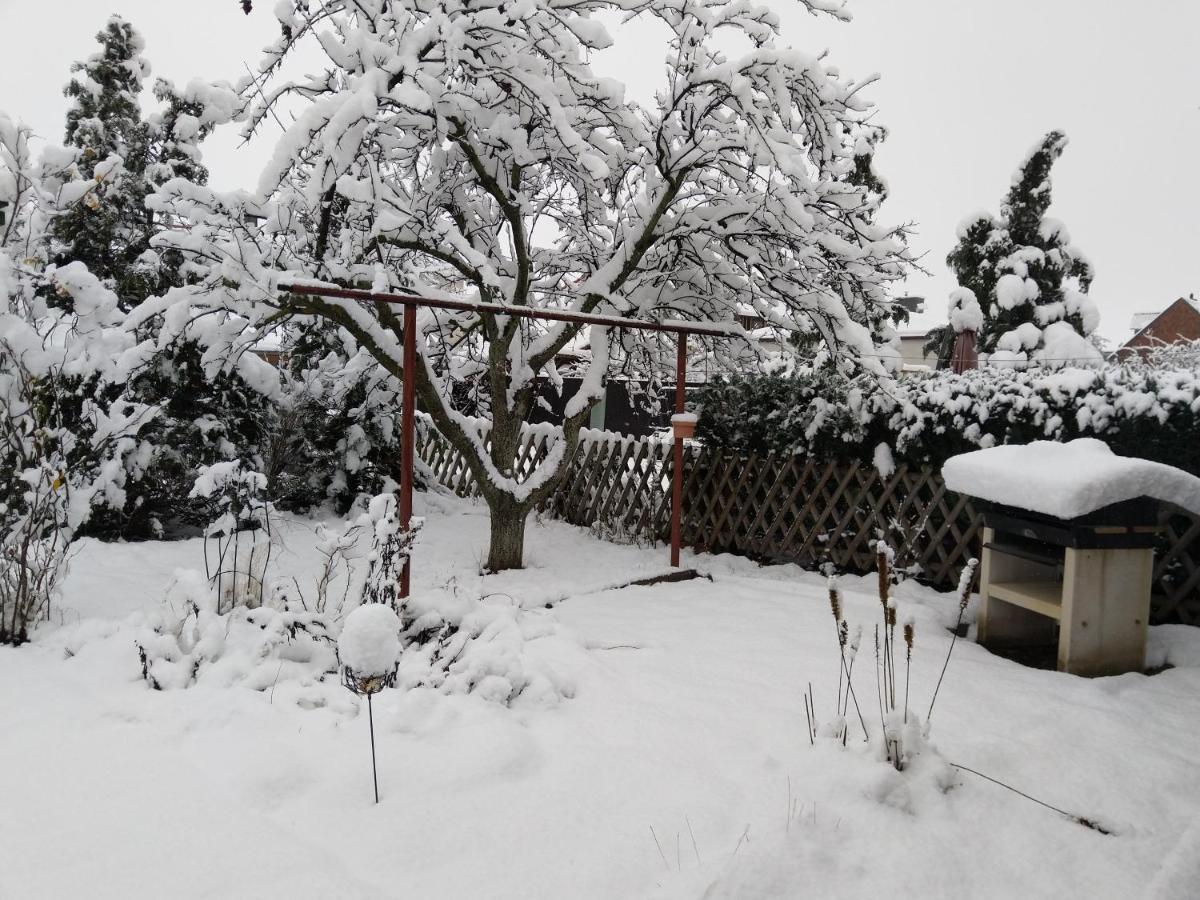 Spatzennest Wernigerode Exteriör bild