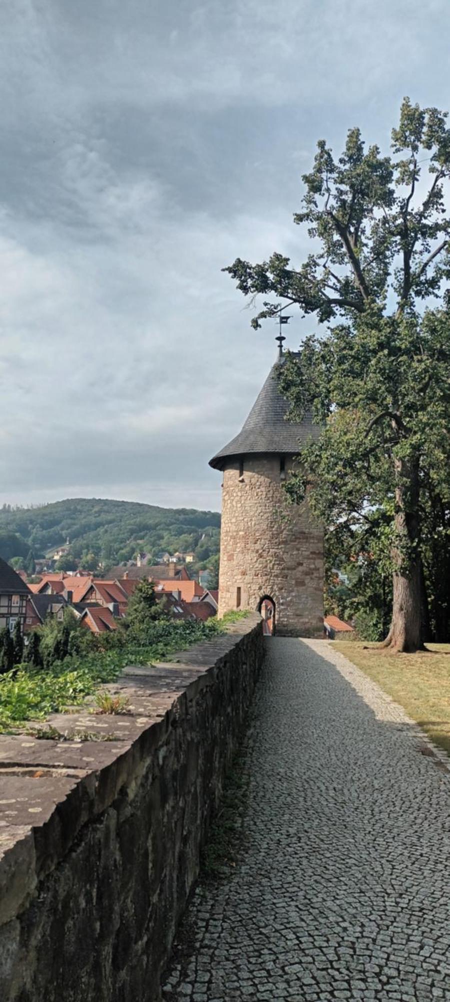 Spatzennest Wernigerode Exteriör bild