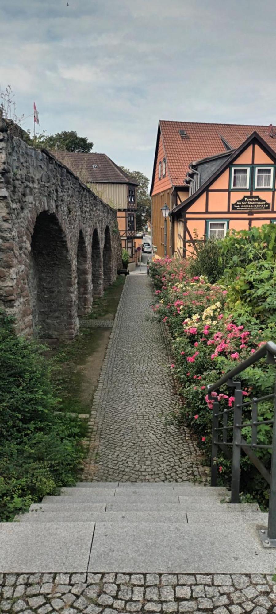 Spatzennest Wernigerode Exteriör bild